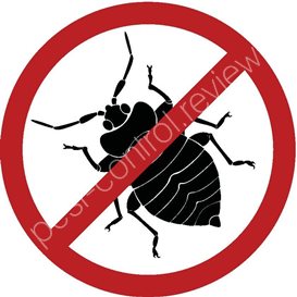 pest control darlington