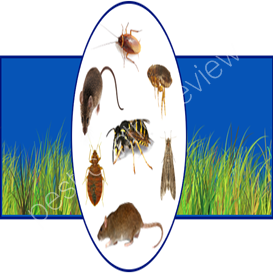 horsham council pest control