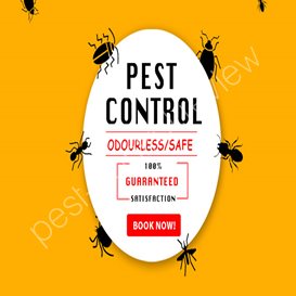 command pest control suffolk