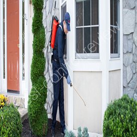 cockroach pest control