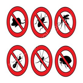 whelan pest control southampton