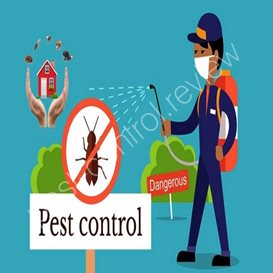 earth's best pest control