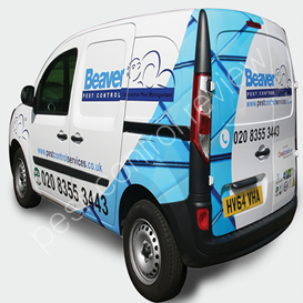capelouto termite & pest control