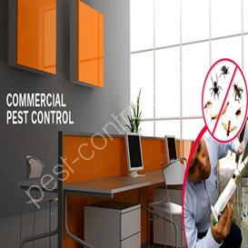 pest control ollerton