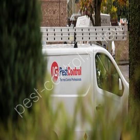 bain pest control lowell ma