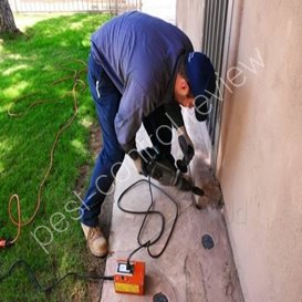 poison ground uk pest control
