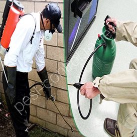 lawn pest control services