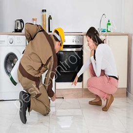 california pest control board