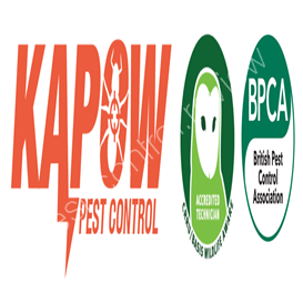 paramount pest control stockton ca