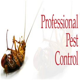 snake pest control