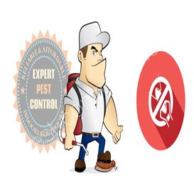 pest control springfield ma