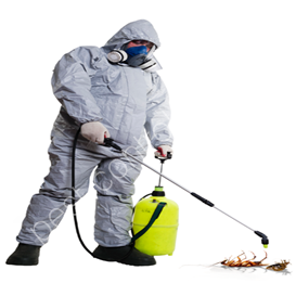 pest control kuala lumpur price