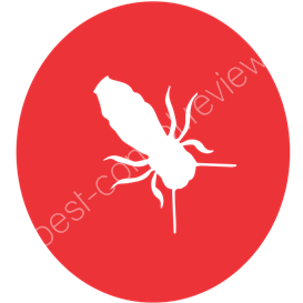 pest control new plymouth