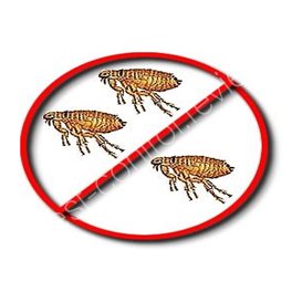 pest control miranda