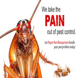 pest control killeen tx