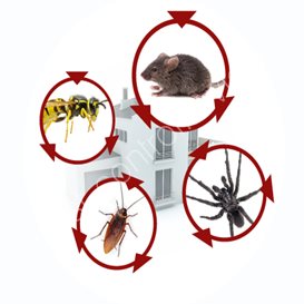 mapecon pest control price