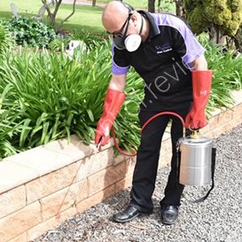 island pest control