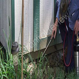 pest control specialists