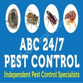 bug busters pest control