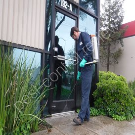 south norfolk council pest control