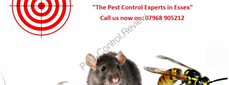 Manchester city council pest control