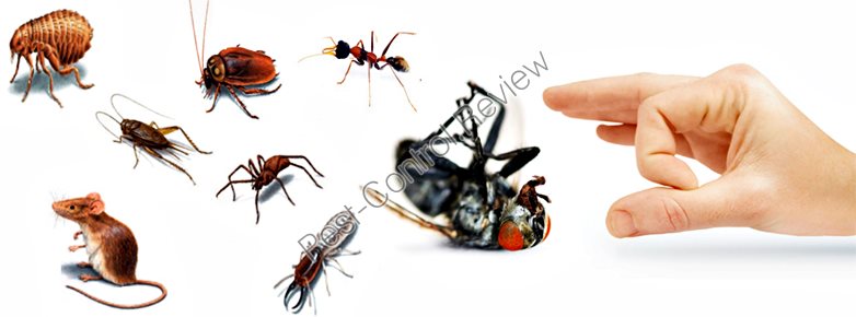 Pest control material supplier