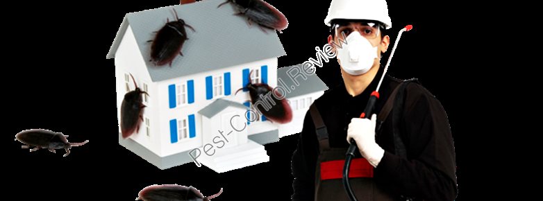 watch all pest control