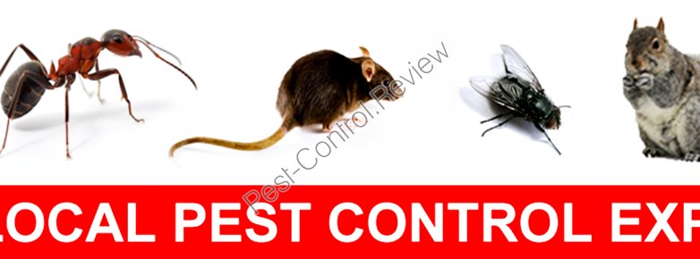 what is structural pest control