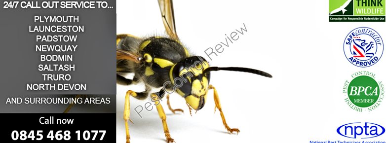 Pest control services in nairobi