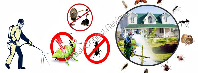 What is the average salary for a pest control technician